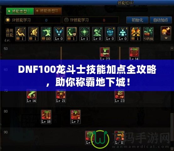 DNF100龍斗士技能加點全攻略，助你稱霸地下城！