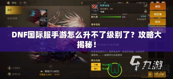 DNF國際服手游怎么升不了級別了？攻略大揭秘！