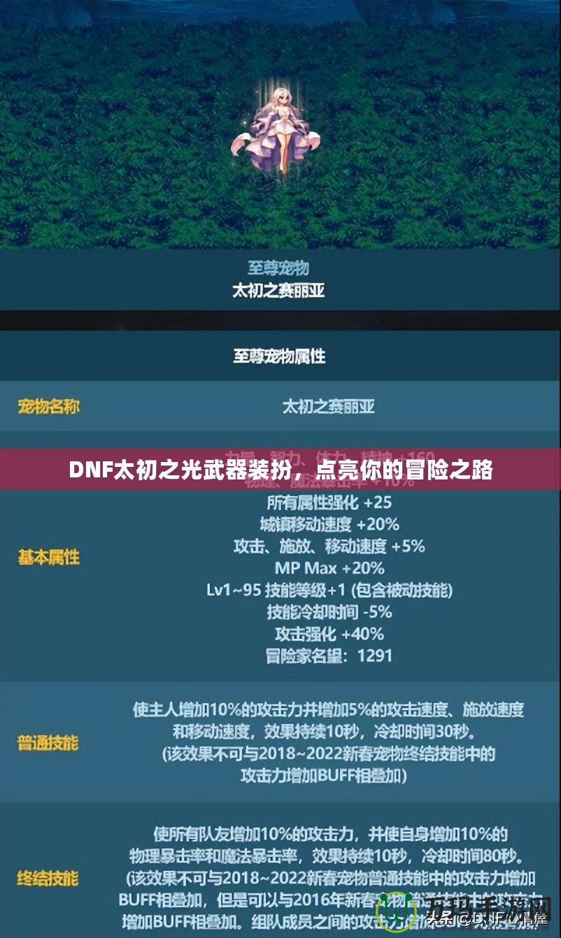 DNF太初之光武器裝扮，點亮你的冒險之路