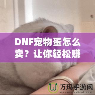 DNF寵物蛋怎么賣？讓你輕松賺取豐厚收益的實用技巧