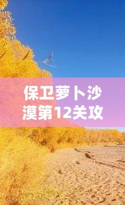 保衛蘿卜沙漠第12關攻略：征服沙漠之中的挑戰，成就最強防線！
