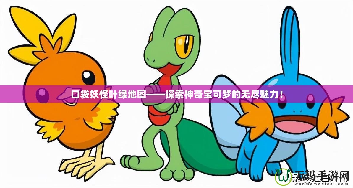 口袋妖怪葉綠地圖——探索神奇寶可夢的無盡魅力！
