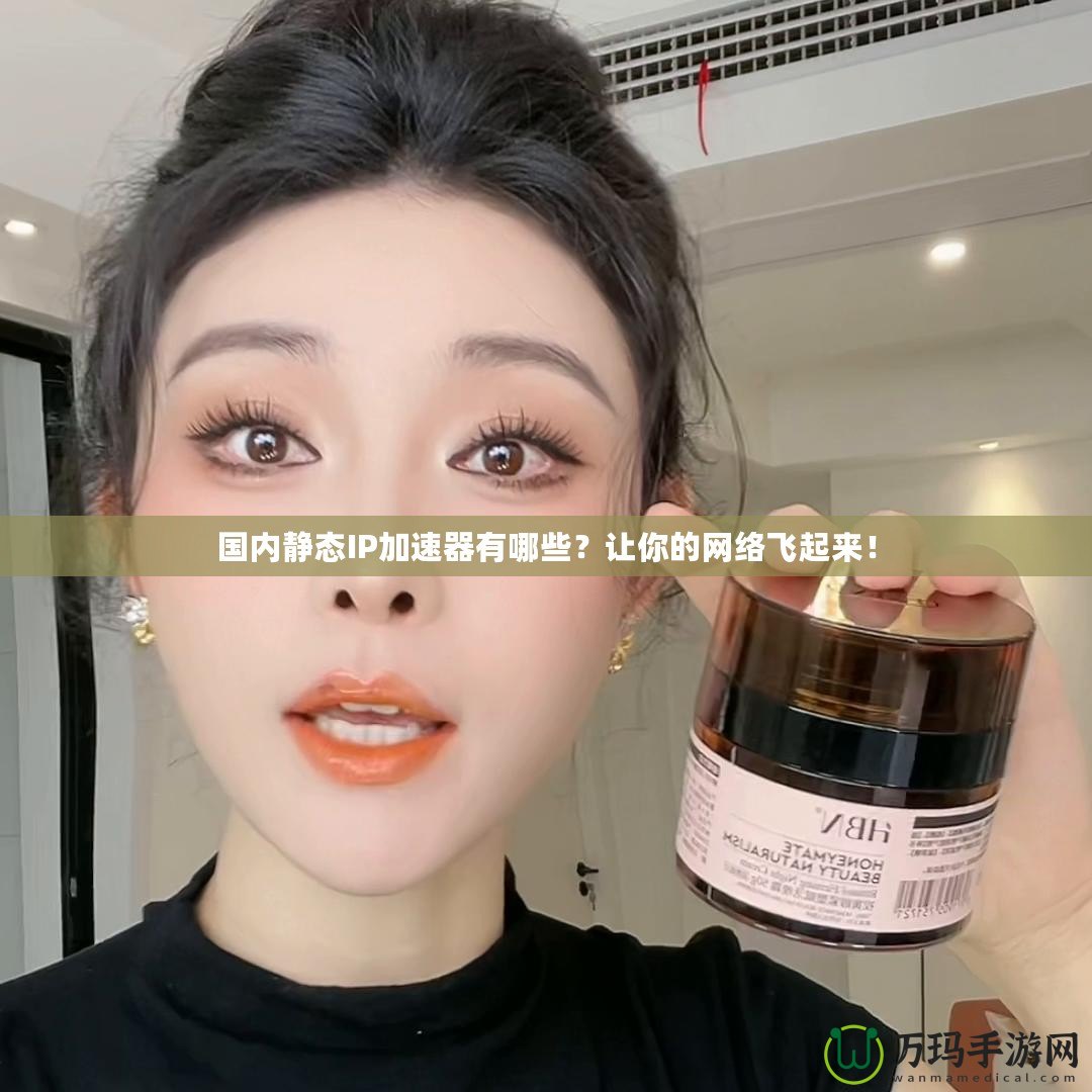 國內(nèi)靜態(tài)IP加速器有哪些？讓你的網(wǎng)絡(luò)飛起來！
