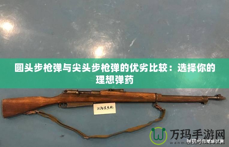 圓頭步槍彈與尖頭步槍彈的優劣比較：選擇你的理想彈藥