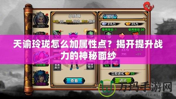 天諭玲瓏怎么加屬性點？揭開提升戰力的神秘面紗