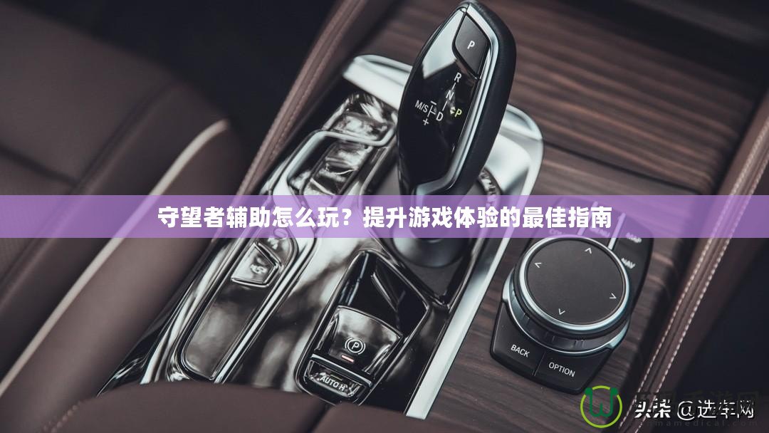 守望者輔助怎么玩？提升游戲體驗的最佳指南