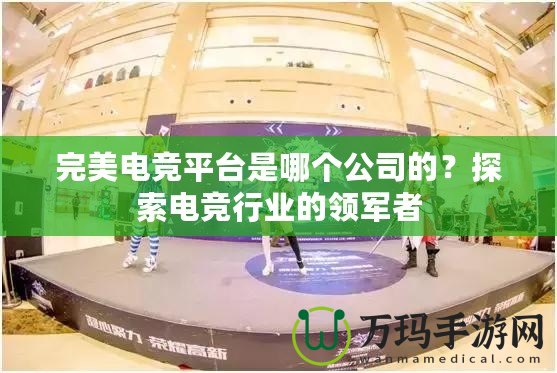 完美電競(jìng)平臺(tái)是哪個(gè)公司的？探索電競(jìng)行業(yè)的領(lǐng)軍者