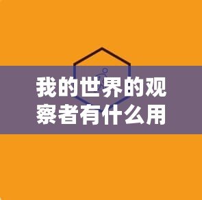 我的世界的觀察者有什么用？深度解析與實戰應用