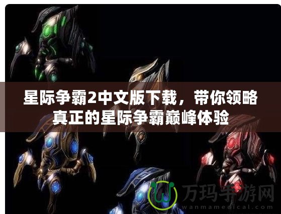 星際爭霸2中文版下載，帶你領略真正的星際爭霸巔峰體驗