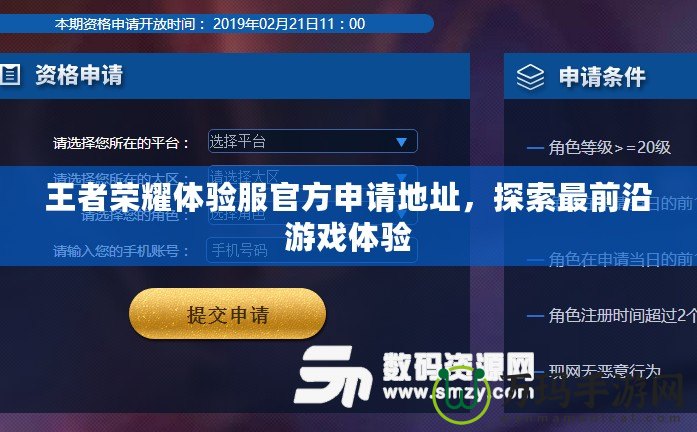 王者榮耀體驗(yàn)服官方申請地址，探索最前沿游戲體驗(yàn)