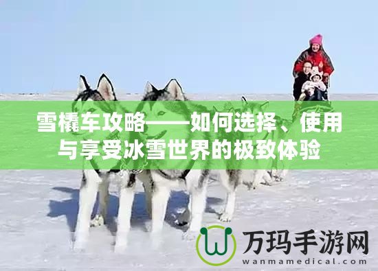 雪橇車攻略——如何選擇、使用與享受冰雪世界的極致體驗