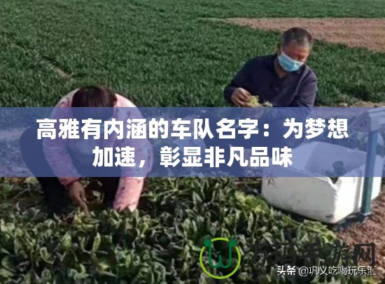 高雅有內(nèi)涵的車隊(duì)名字：為夢想加速，彰顯非凡品味