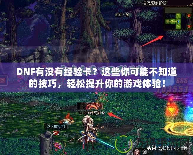 DNF有沒有經(jīng)驗(yàn)卡？這些你可能不知道的技巧，輕松提升你的游戲體驗(yàn)！