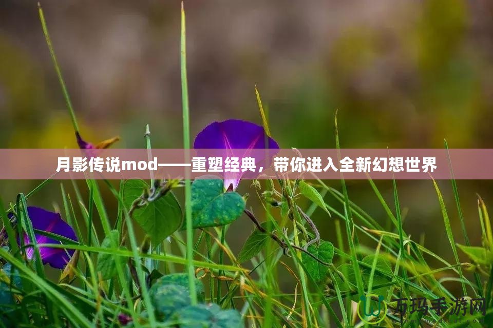 月影傳說mod——重塑經典，帶你進入全新幻想世界