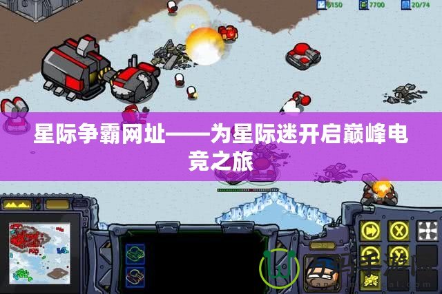 星際爭霸網址——為星際迷開啟巔峰電競之旅