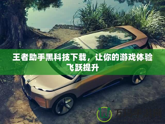 王者助手黑科技下載，讓你的游戲體驗(yàn)飛躍提升