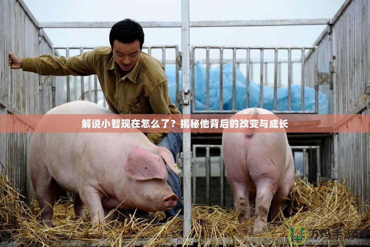 解說小智現在怎么了？揭秘他背后的改變與成長