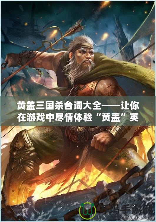 黃蓋三國殺臺詞大全——讓你在游戲中盡情體驗“黃蓋”英勇風采