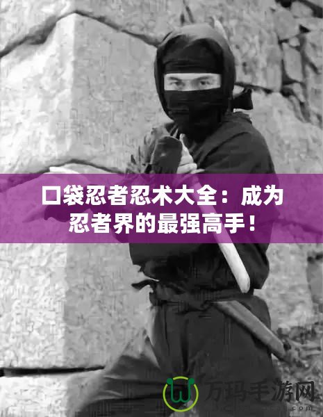 口袋忍者忍術(shù)大全：成為忍者界的最強高手！