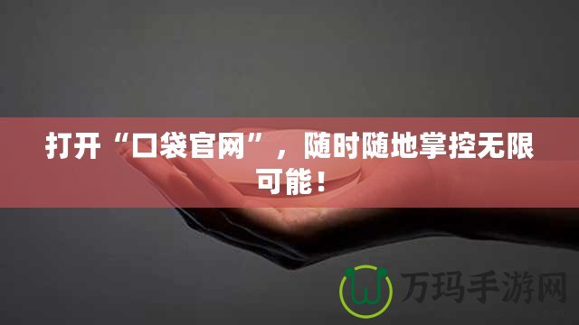 打開“口袋官網”，隨時隨地掌控無限可能！