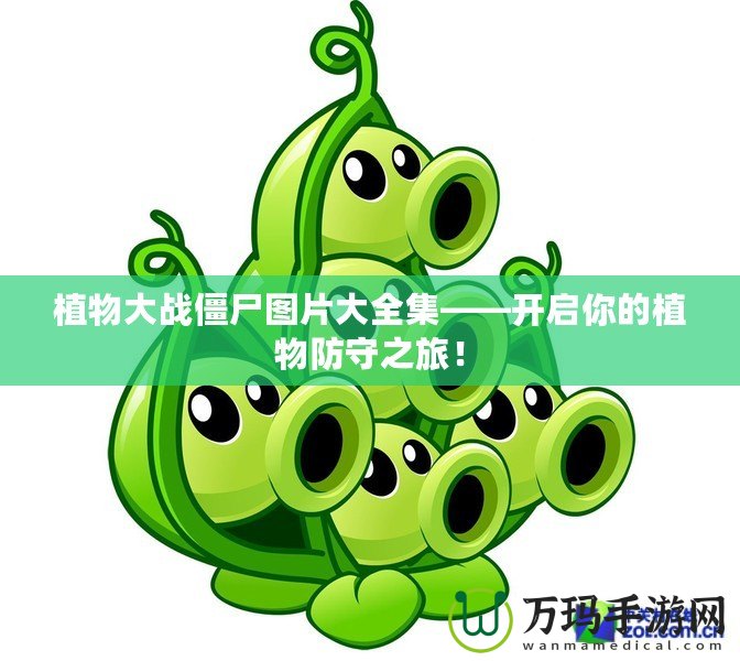 植物大戰(zhàn)僵尸圖片大全集——開啟你的植物防守之旅！