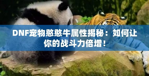 DNF寵物憨憨牛屬性揭秘：如何讓你的戰斗力倍增！