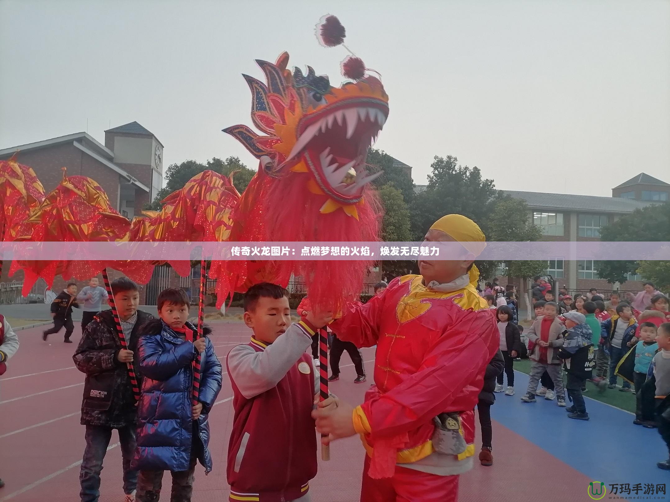 傳奇火龍圖片：點燃夢想的火焰，煥發無盡魅力
