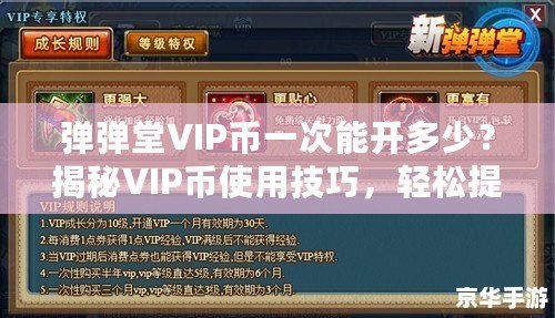 彈彈堂VIP幣一次能開多少？揭秘VIP幣使用技巧，輕松提升游戲體驗！
