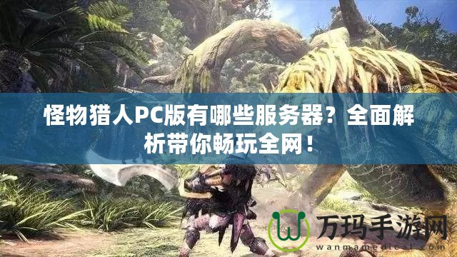 怪物獵人PC版有哪些服務器？全面解析帶你暢玩全網(wǎng)！