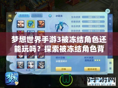 夢想世界手游3被凍結(jié)角色還能玩嗎？探索被凍結(jié)角色背后的秘密