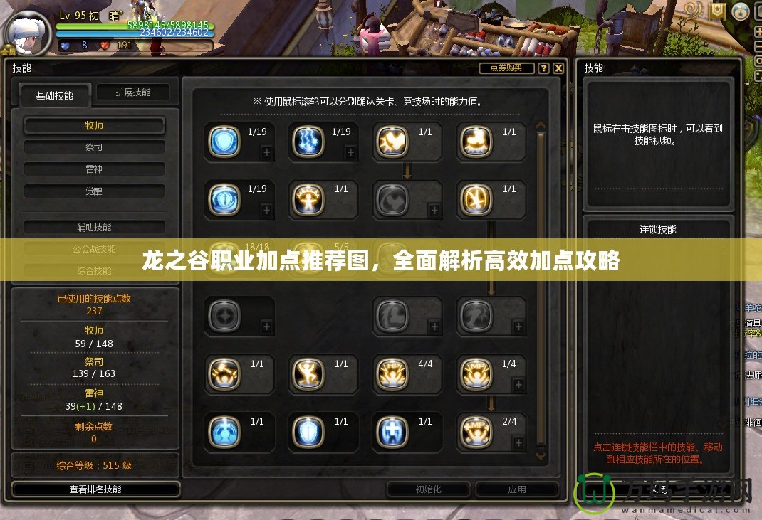 龍之谷職業加點推薦圖，全面解析高效加點攻略