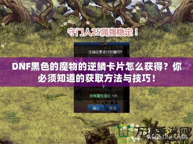 DNF黑色的魔物的逆鱗卡片怎么獲得？你必須知道的獲取方法與技巧！