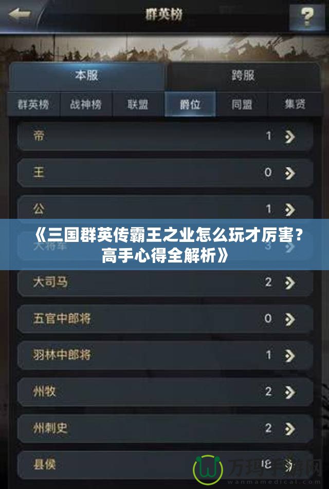 《三國群英傳霸王之業(yè)怎么玩才厲害？高手心得全解析》