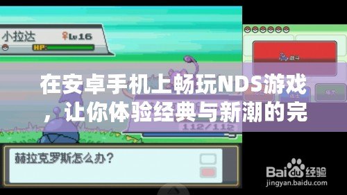 在安卓手機上暢玩NDS游戲，讓你體驗經典與新潮的完美結合