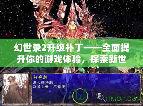 幻世錄2升級補丁——全面提升你的游戲體驗，探索新世界