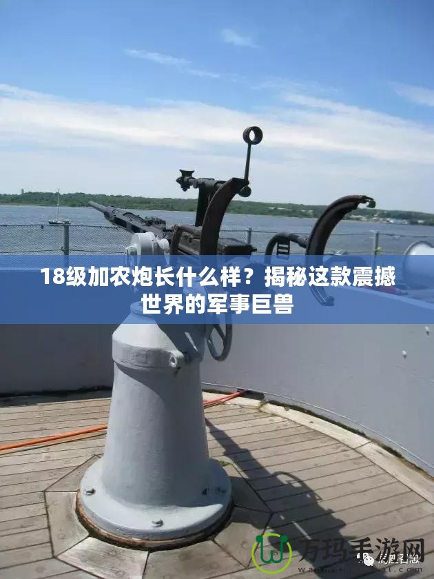 18級(jí)加農(nóng)炮長(zhǎng)什么樣？揭秘這款震撼世界的軍事巨獸