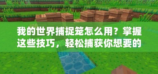 我的世界捕捉籠怎么用？掌握這些技巧，輕松捕獲你想要的生物！
