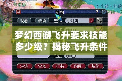 夢幻西游飛升要求技能多少級？揭秘飛升條件與技巧，助你輕松跨越飛升門檻！