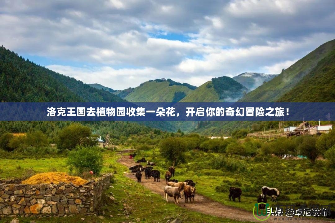 洛克王國去植物園收集一朵花，開啟你的奇幻冒險(xiǎn)之旅！