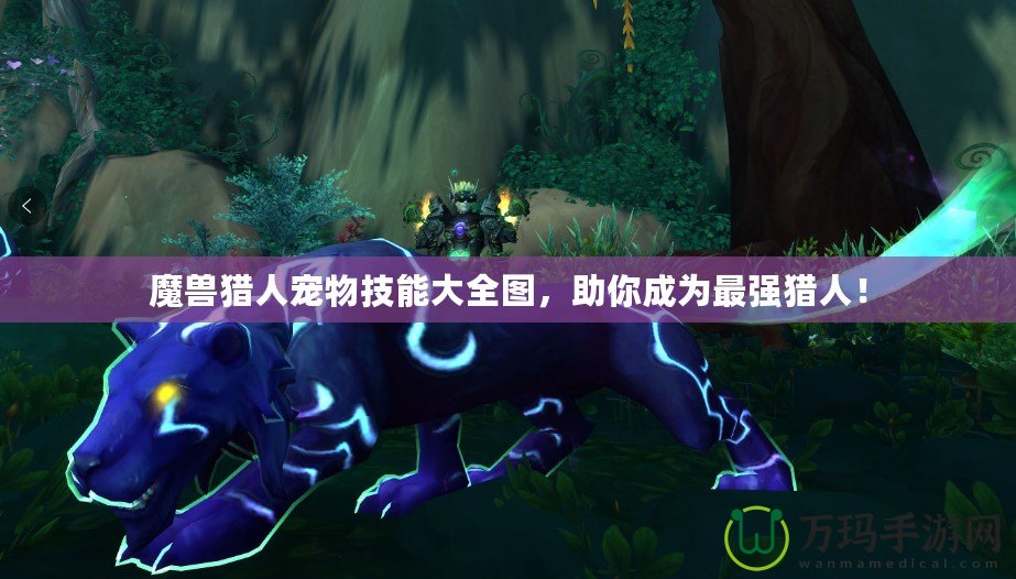 魔獸獵人寵物技能大全圖，助你成為最強(qiáng)獵人！