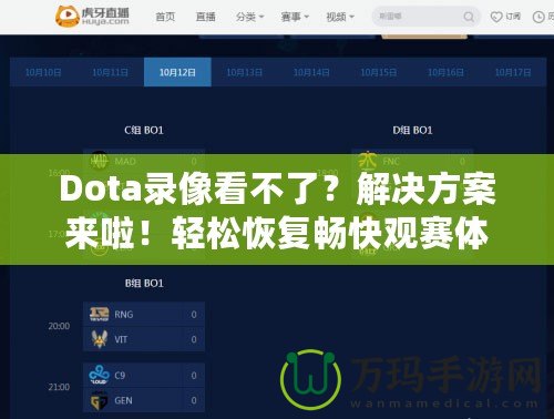 Dota錄像看不了？解決方案來啦！輕松恢復(fù)暢快觀賽體驗(yàn)
