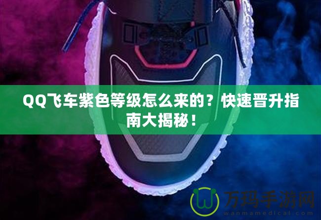 QQ飛車紫色等級怎么來的？快速晉升指南大揭秘！