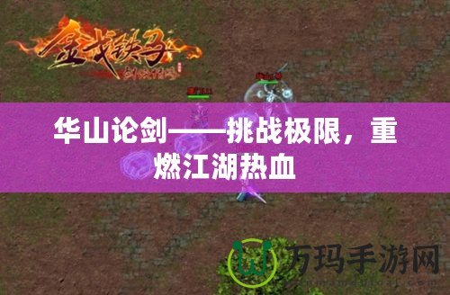 華山論劍——挑戰(zhàn)極限，重燃江湖熱血