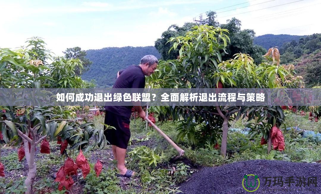 如何成功退出綠色聯盟？全面解析退出流程與策略