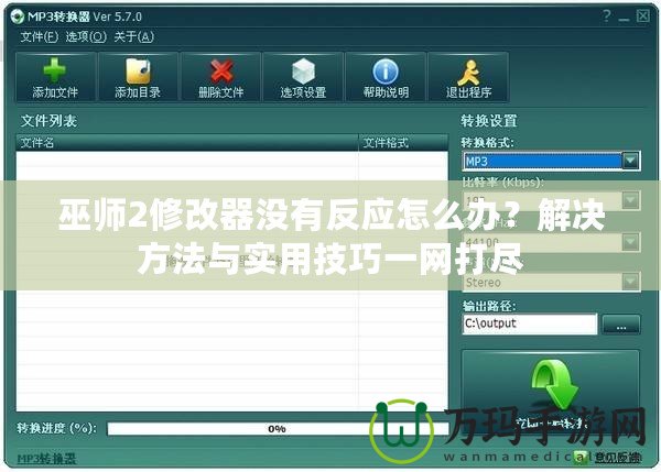 巫師2修改器沒有反應怎么辦？解決方法與實用技巧一網(wǎng)打盡