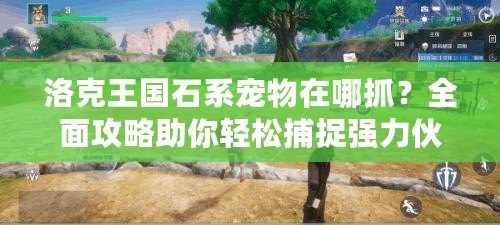 洛克王國石系寵物在哪抓？全面攻略助你輕松捕捉強力伙伴