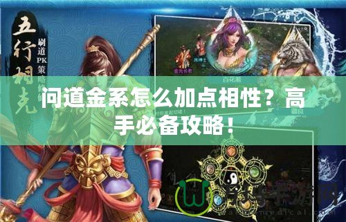 問道金系怎么加點相性？高手必備攻略！