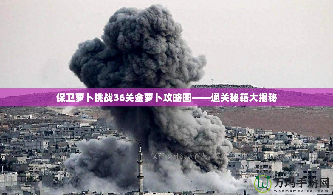 保衛蘿卜挑戰36關金蘿卜攻略圖——通關秘籍大揭秘