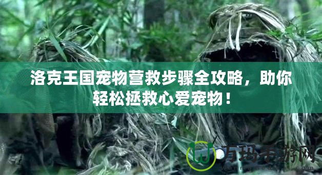 洛克王國寵物營救步驟全攻略，助你輕松拯救心愛寵物！