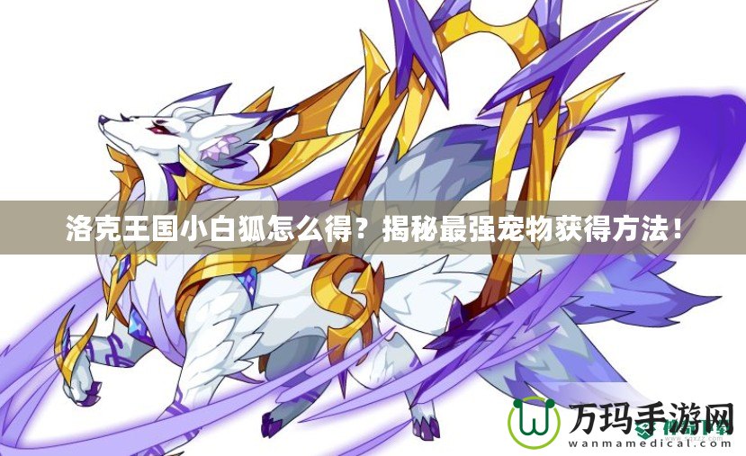洛克王國小白狐怎么得？揭秘最強寵物獲得方法！